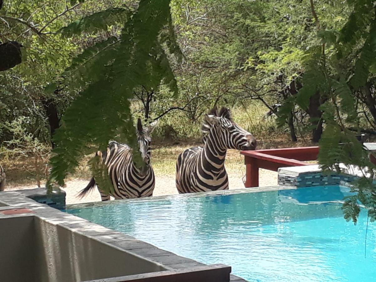Turaco Lodge - No Loadshedding Marloth Park Exterior photo