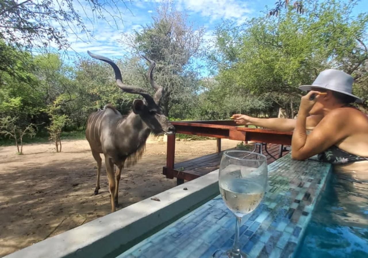 Turaco Lodge - No Loadshedding Marloth Park Exterior photo